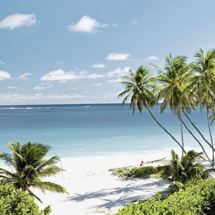 Strand mit Palmen und weissem Sand in den Kleinen Antillen, ideal für Entspannung und Ferien.