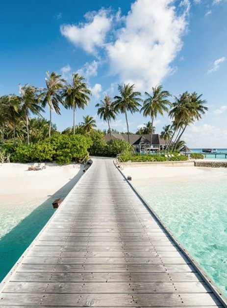 Ein Holzsteg führt zu einem Strand mit Palmen auf den Malediven.