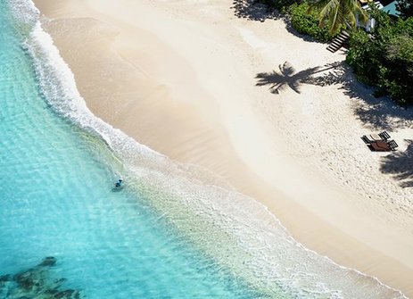 Ein Strand mit einem kleinen Gewässer und einigen Palmen, ideal für entspannte Momente auf Traüme Inseln.