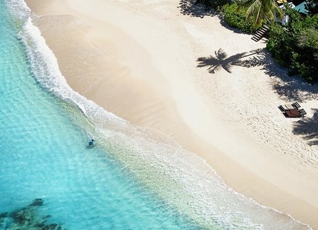 Ein Strand mit einem kleinen Gewässer und einigen Palmen, ideal für entspannte Momente auf Traüme Inseln.