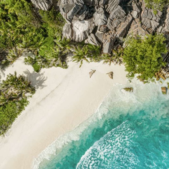 Blick von oben auf einen paradiesischen Strand auf den Seychellen, gesäumt von Palmen und strahlend blauem Wasser.