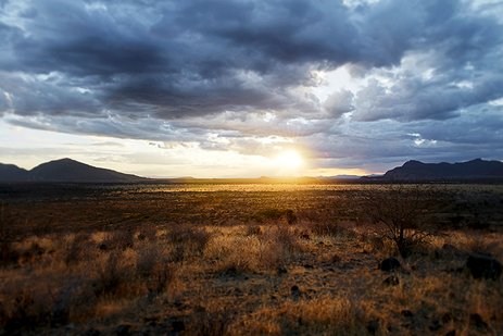 Sonnenuntergang in Afrika: Leuchtende Farben am Horizont, Silhouetten von Bäumen und unberührte Natur. 