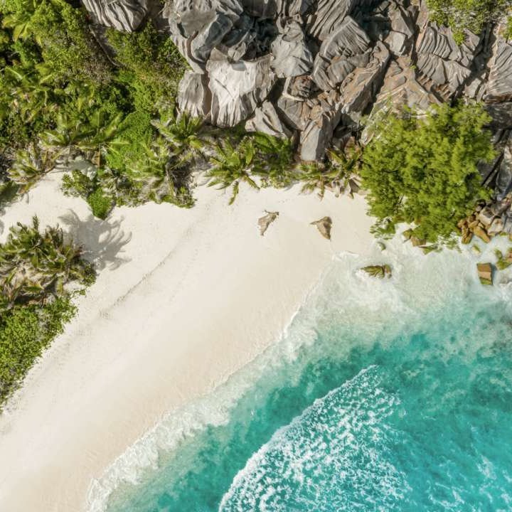 Vue aérienne d'une plage de rêve au sable blanc et aux arbres luxuriants aux Seychelles.