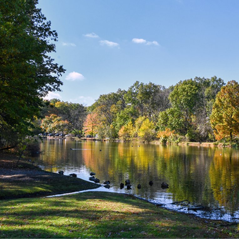 Ein Park in NYC mit einem See und Bäumen im Hintergrund.