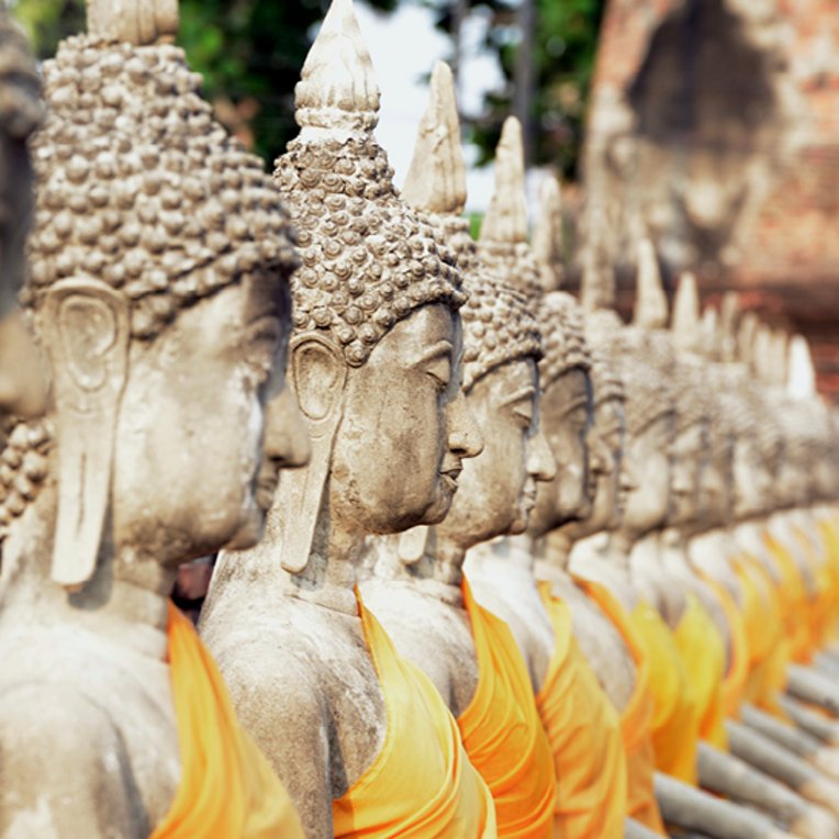 Eine Reihe von Statuen in Ayutthaya, Thailand, zeigt historische Kunstwerke in einem sonnigen Aussenbereich.