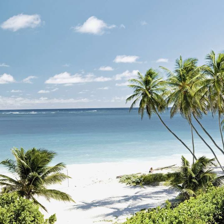 Plage paradisiaque dans les petites Antilles, entourée de palmiers et de sable d'une blancheur éclatante.
