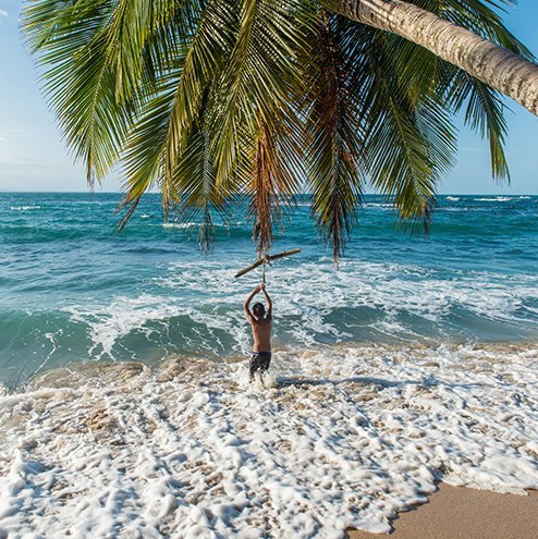 Enfant sous un palmier dans la mer.
