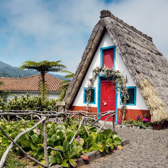 Ein charmantes Haus mit Reetdach und einer hohen Palme im Vordergrund.