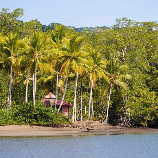 Un bateau flotte sur l'eau près de palmiers, typique de la beauté de la Costa Rica.