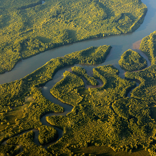 Une rivière serpentant à travers une forêt luxuriante au Costa Rica.