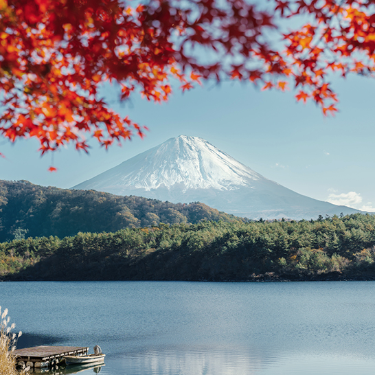 Der majestätische Mount Fuji in Japan, umgeben von bunten Herbstblättern und klarem blauen Himmel.