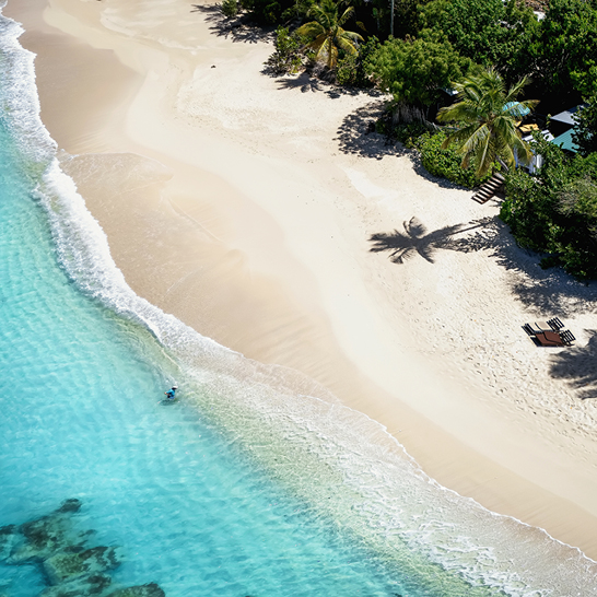 Ein Strand mit einem kleinen Gewässer und einigen Palmen, ideal für entspannte Momente auf Traüme Inseln.