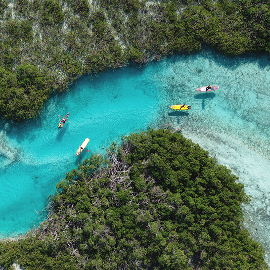 Eine Gruppe von Menschen paddelt in Kanus auf einem Gewässer in den Bahamas.