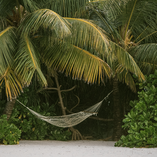 Eine Hängematte schwingt entspannt zwischen zwei Palmen auf den Malediven.