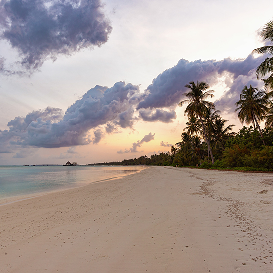 Strand auf den Malediven mit Palmen, sanften Wellen und klarem blauen Himmel im Hintergrund.