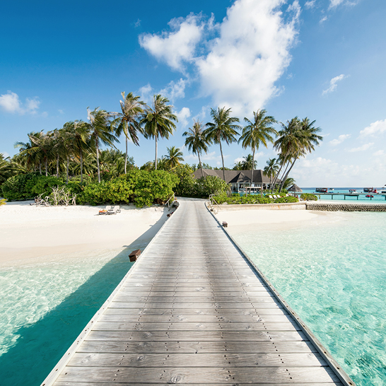 Ein Holzsteg führt zu einem Strand mit Palmen auf den Malediven.
