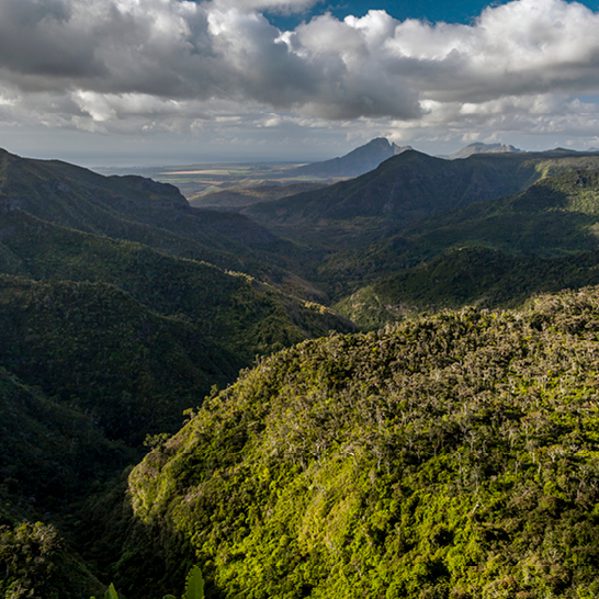 Blick auf ein Tal mit einem Berg im Hintergrund, umgeben von der üppigen Natur von Mauritius.