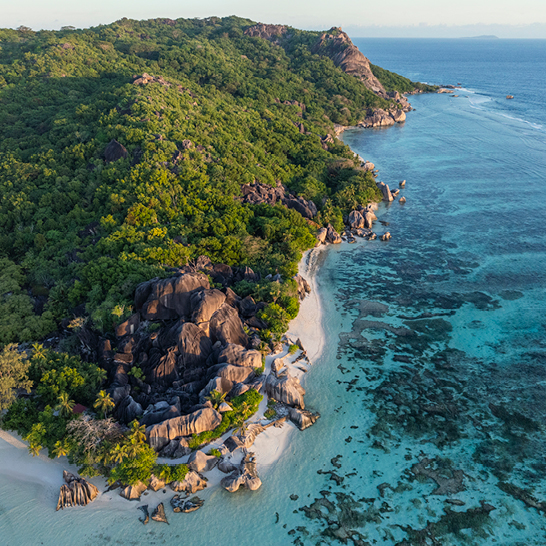 Luftaufnahme einer Seychellen-Insel mit einem weißen Sandstrand, umgeben von klarem, türkisfarbenem Wasser.
