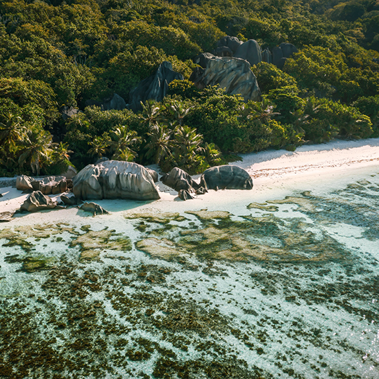Strand auf den Seychellen mit Felsen und Bäumen im Vordergrund, umgeben von klarem Wasser und blauem Himmel.