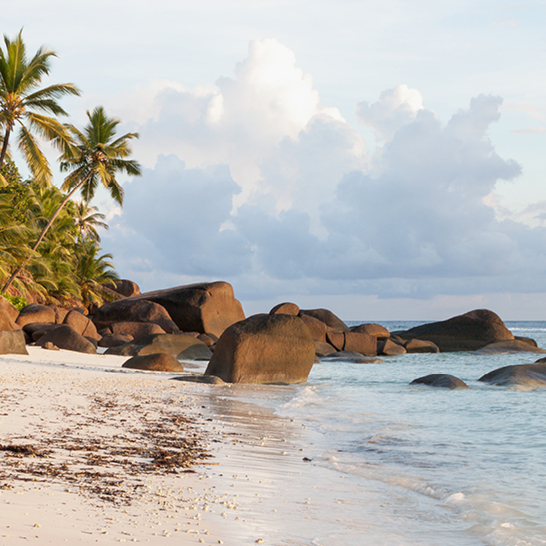 Strand in den Seychellen mit Felsen und Palmen, umgeben von klarem Wasser und blauen Himmel.