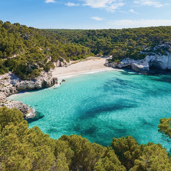 Wunderschöner Strand auf den Balearen mit klarem Wasser und grünen Bäumen im Hintergrund.
