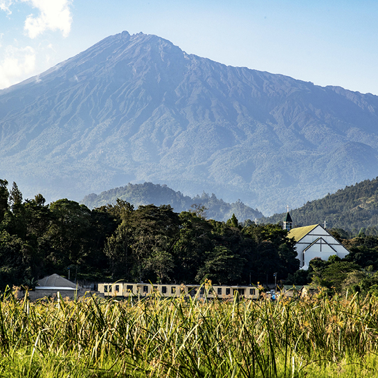 Ein Zug fährt durch ein Feld mit einem Berg im Hintergrund, Arusha, Tansania.