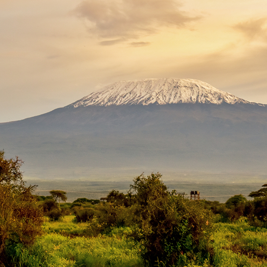 Der majestätische Kilimandscharo in Tansania, Afrika, erhebt sich stolz über die umliegende Landschaft.