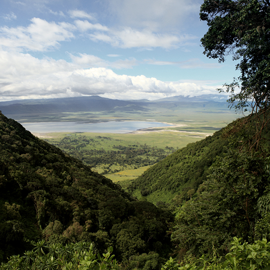 Blick auf das Ngorongoro-Kratergebiet in Tansania, mit einer weiten Aussicht auf das Tal und die umliegenden Berge.