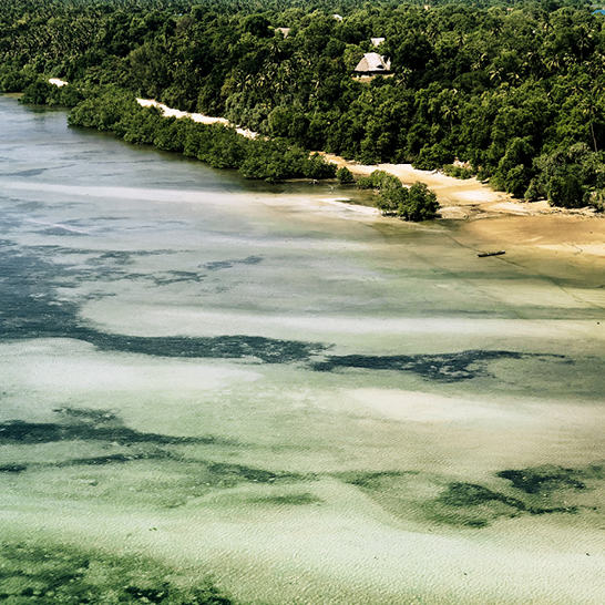 Blick auf einen Strand mit einer kleinen Insel in der Ferne, Teil der Inselwelten Tansania.