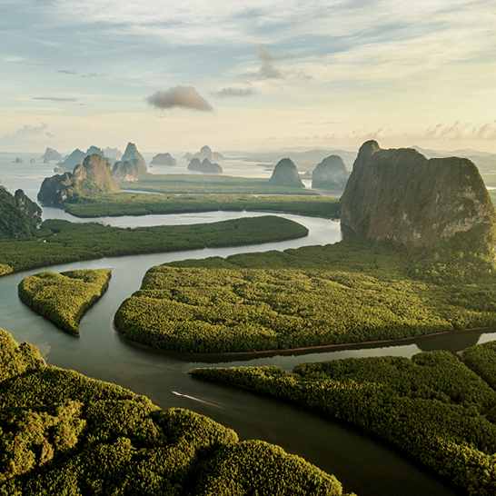 Ein klarer Fluss schlängelt sich durch den grünen Dschungel Thailands, umgeben von lebhaften Pflanzen und Bäumen.