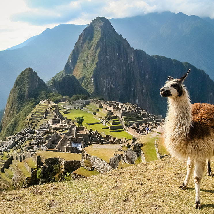 Machu Picchu: Alte Inka-Stadt hoch in den Bergen, umgeben von atemberaubenden Landschaften.