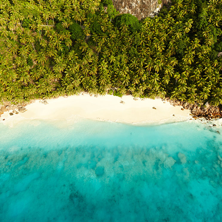 Paradiesischer Strand: Feiner Sand, kristallklares türkisfarbenes Wasser, Palmen und ein endlos blauer Himmel.
