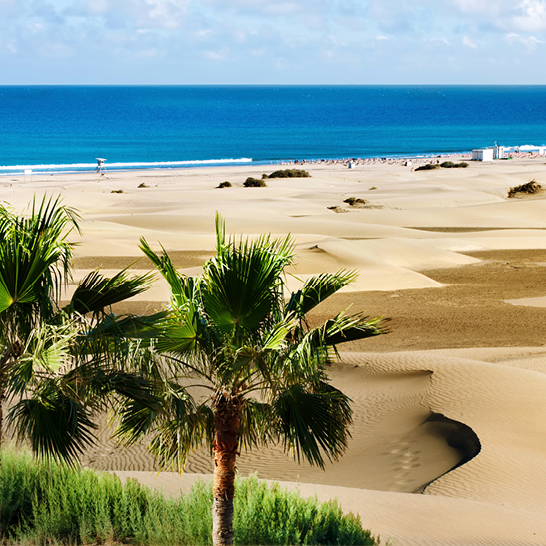 Blick auf einen Strand mit Palmen und blauem Ozean auf Gran Canaria, Kanaren.