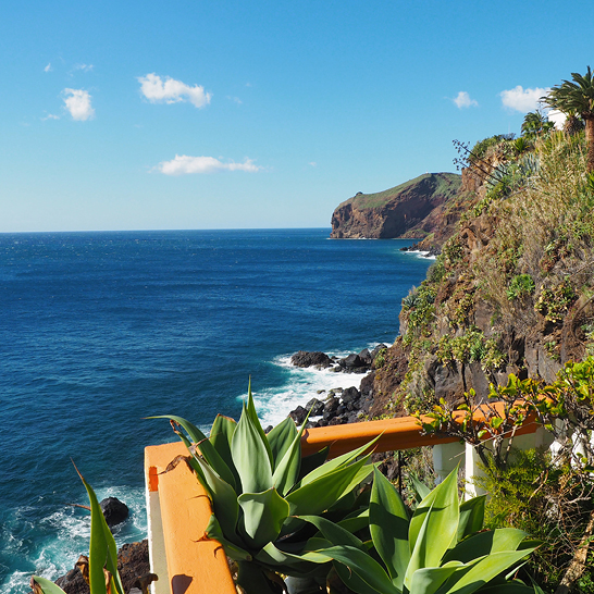 Madère - Canixo de Baixo 