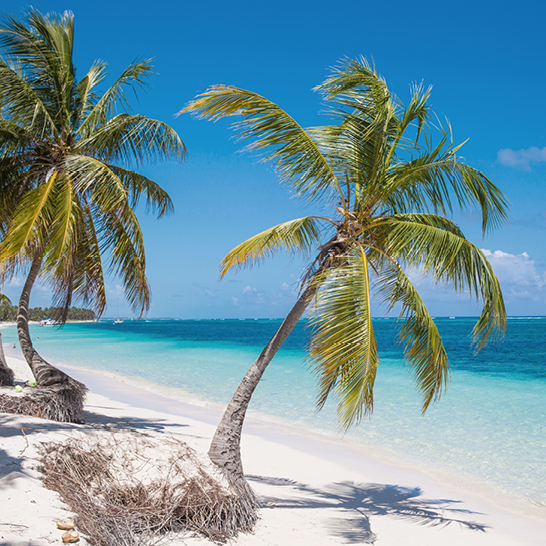 Playa Cabeza de Toro, Punta Cana, Dominikanische Republik, Westindische Inseln, Karibik, Mittelamerika 