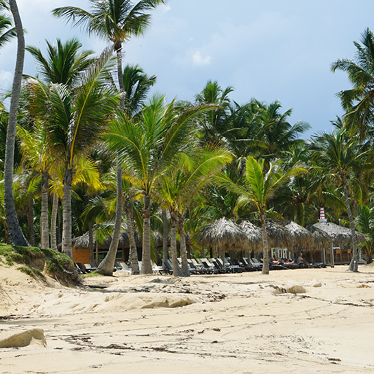 Landschaft eines exotischen Karibikstrandes in Uvero Alto, Punta Cana, Dominikanische Republik.