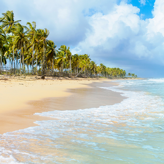 Kokospalmen und blaues Wasser auf weissem Sand, Strand in der Karibik, Playa Macao. Dominikanische Republik. 