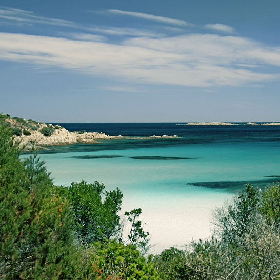 Grosser Wasserbereich mit Strand und Bäumen an der Costa Smeralda in Sardinien.